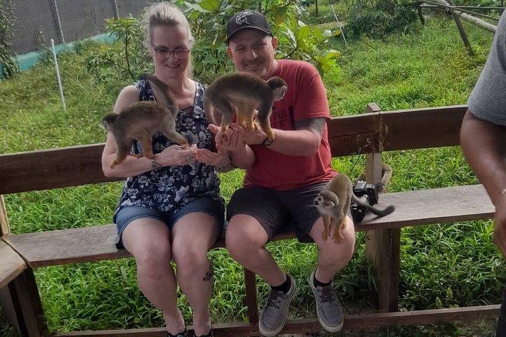 monkey paradise experience & 7 waterfalls damajagua