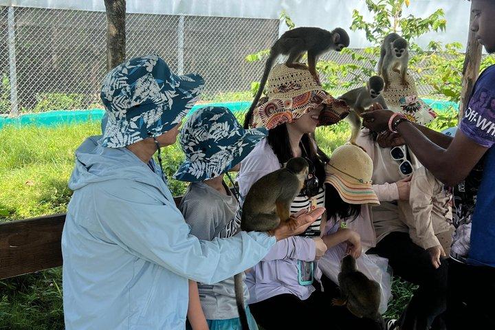 monkey paradise experience & 7 waterfalls damajagua