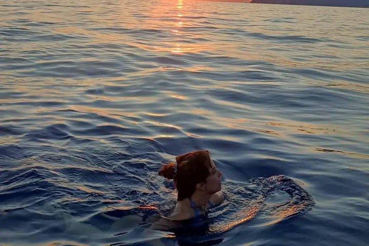マナローラ：船上でのアペリティフ付き日帰りツアーとサンセットツアー