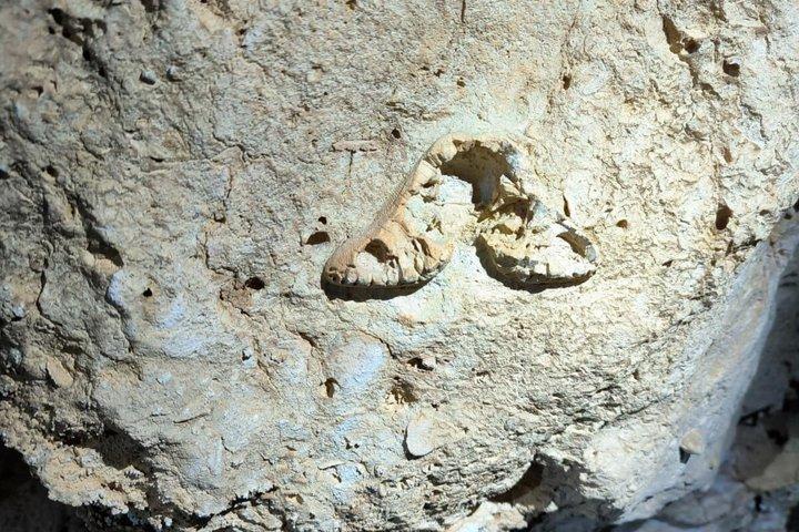 リスボン近郊、セジンブラのセトゥーバルにあるアラビダ自然公園での洞窟探検