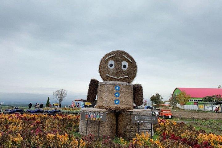 北海道：美瑛青い池と富良野フラワーファームへの日帰り旅行