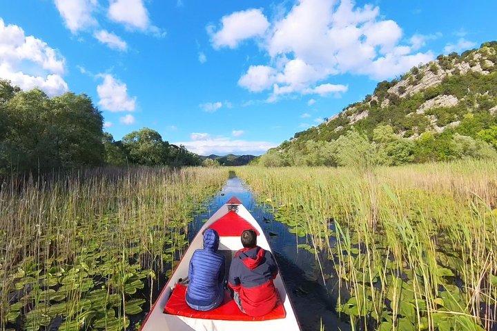 2 uur durende begeleide Amazon Boat Tour