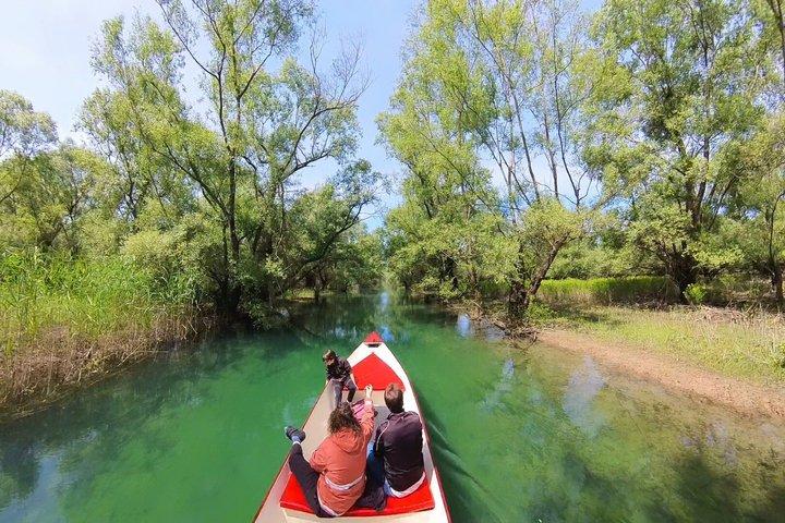 2 uur durende begeleide Amazon Boat Tour