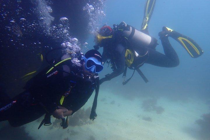 Try Dive Marine Reserve, Arrábida, Setúbal, Sesimbra, near Lisbon