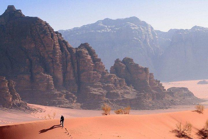 Petra and Wadi Rum Private tour from AMMAN