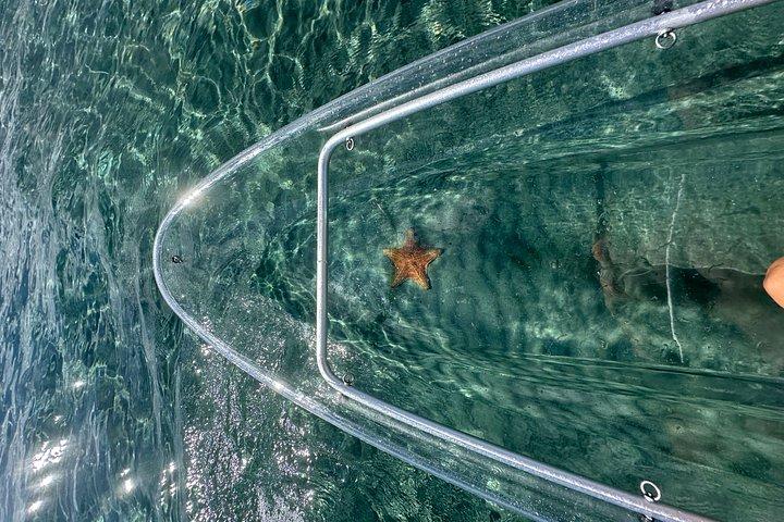 クリアカヤックピーナッツ島ガイドツアーパームビーチシンガー島