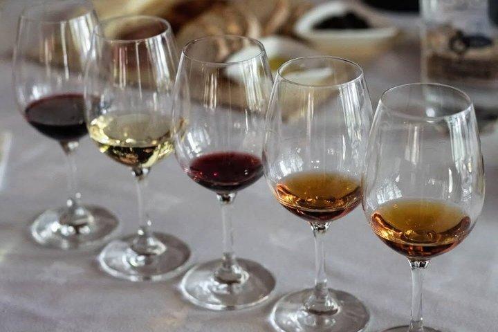 Setúbal Private Wine Experience Deux caves et dégustations