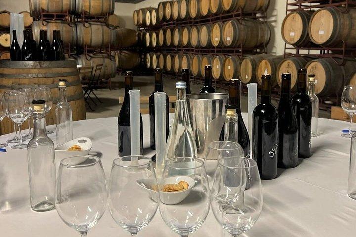 Setúbal Private Wine Experience Deux caves et dégustations