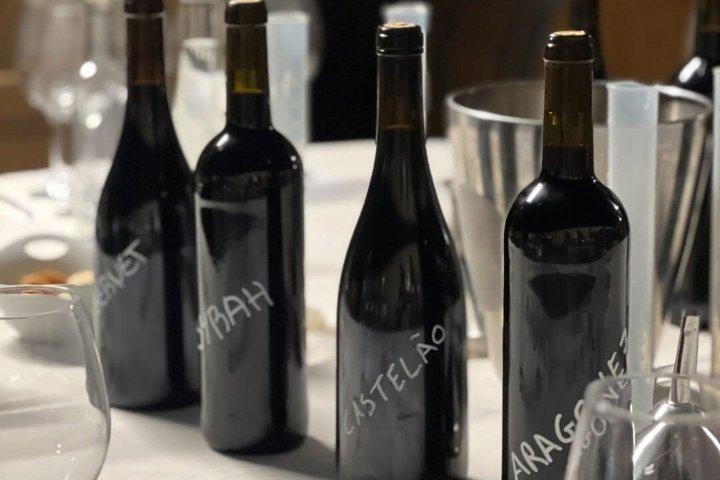 Setúbal Private Wine Experience Deux caves et dégustations