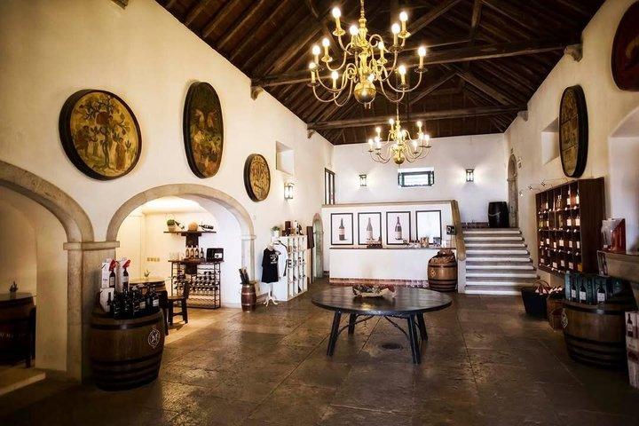 Setúbal Private Wine Experience Deux caves et dégustations