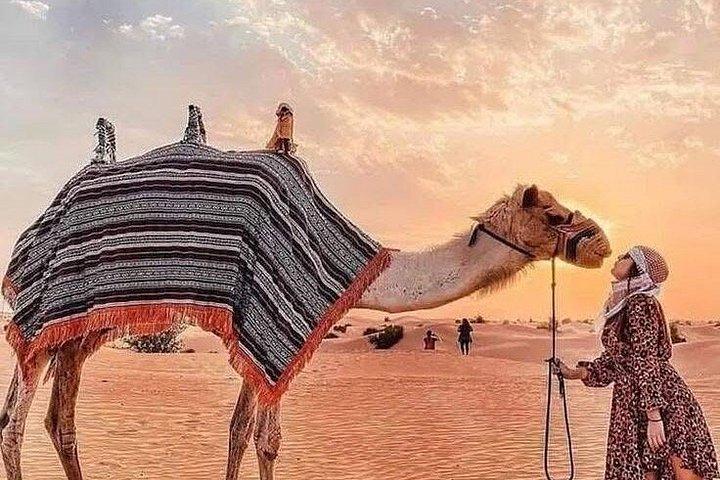 Aventure de safari dans le désert de Dubaï