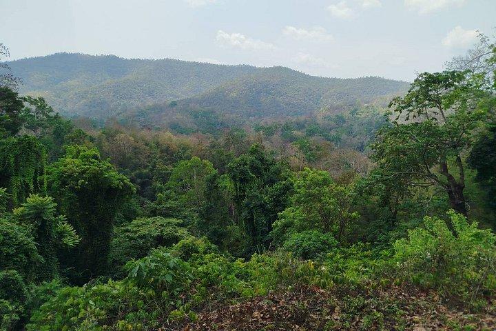 The Best Full Day Tour: Doi Suthep, Wat Phalat, Sticky Waterfall