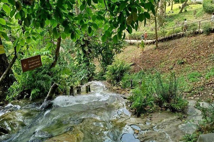 The Best Full Day Tour: Doi Suthep, Wat Phalat, Sticky Waterfall