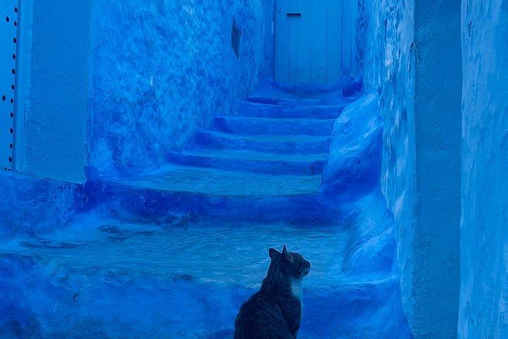 Chefchaouen Luxury Private day trip from Tangier