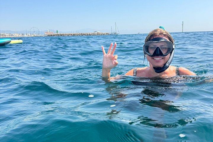 ベナルマデナ・カタマラン：イルカウォッチング、タパス、海水浴　2時間30分