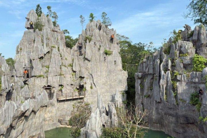 Billet til Rainforest Wild Asia