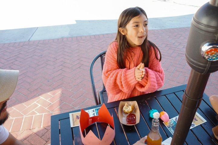 バイキング博物館入場付きソルバングキッズバイキングツアー