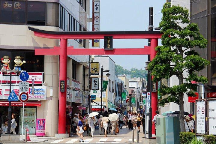 Excursion d'une journée à Kamakura au départ de Tokyo
