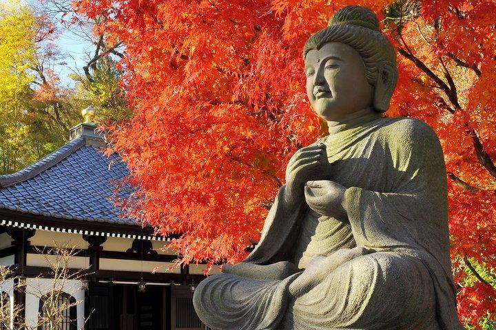Excursion d'une journée à Kamakura au départ de Tokyo
