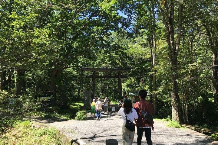 戸隠神社&スノーモンキー終日プライベートツアー