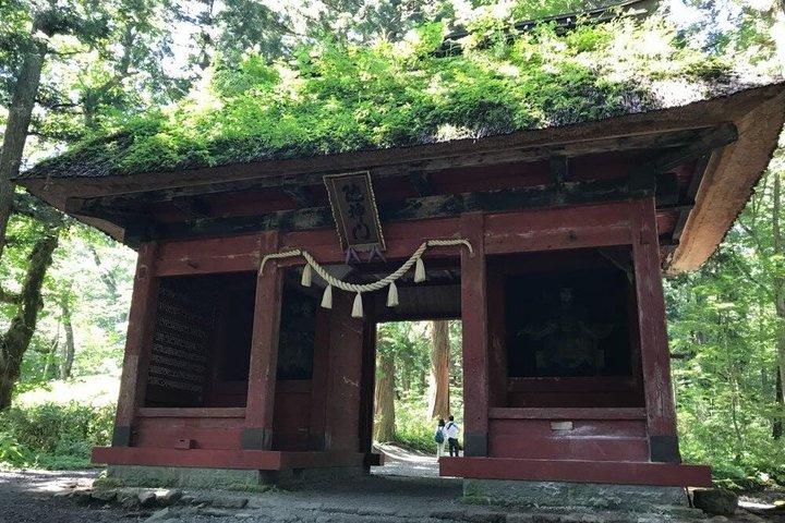 Togakushi Shrine & Snow Monkey Tour privado de dia inteiro