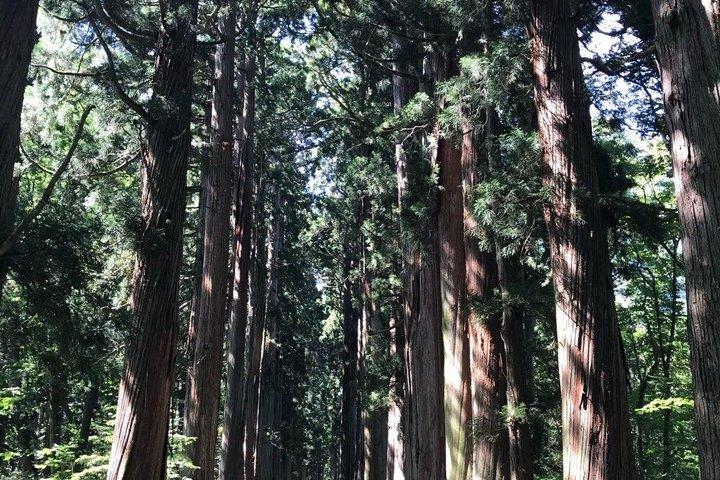 戸隠神社&スノーモンキー終日プライベートツアー