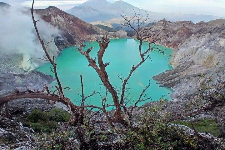 Mount Ijen Blue Fire Midnight Trek and Sunrise Experience