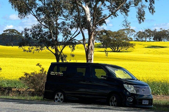 Private wildflower, canola fields & heritage tours from Perth