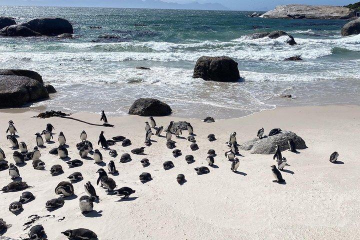 Cape Peninsula Cycle Tour