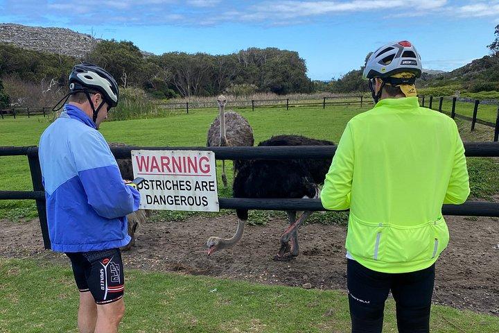 Cape Peninsula Cycle Tour
