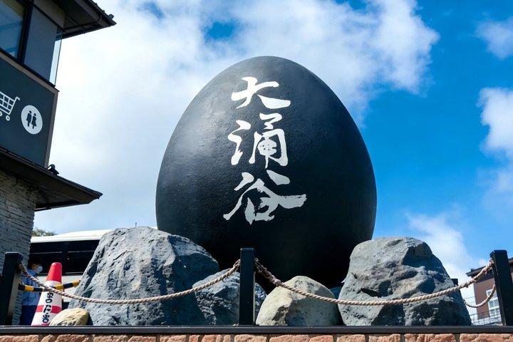 De Tokyo Visite d'une journée de Hakone et Owakudani