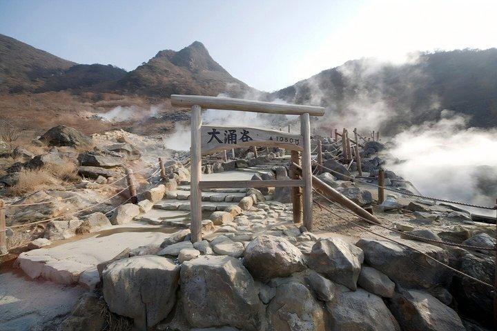 De Tokyo Visite d'une journée de Hakone et Owakudani