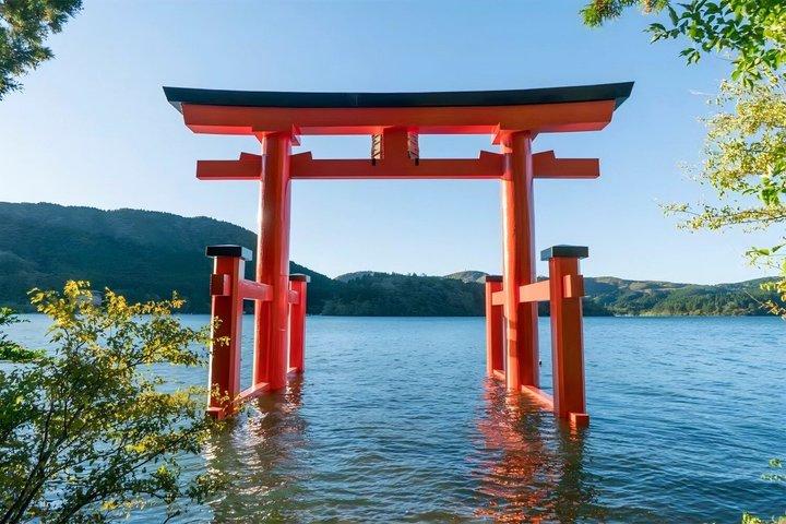 Da Tokyo Tour di un giorno di Hakone e Owakudani