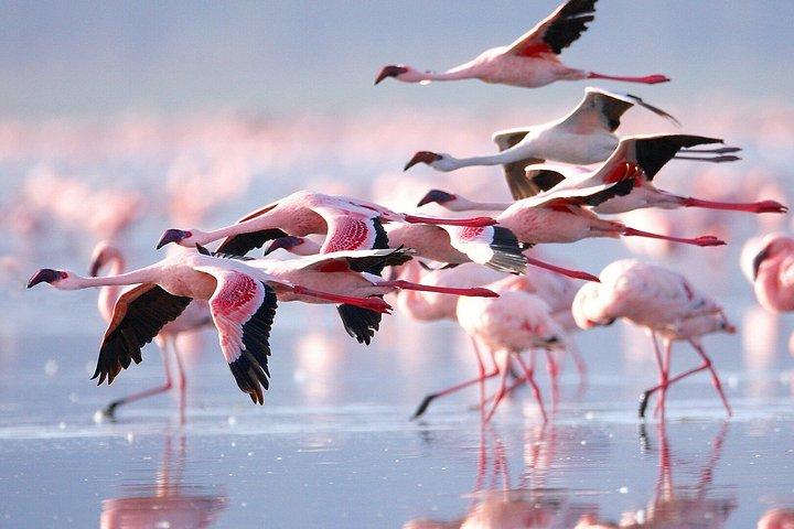 ナイロビ・ケニアツアー複数日小旅行