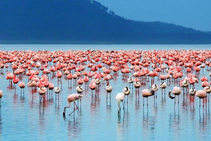 ナイロビ・ケニアツアー複数日小旅行