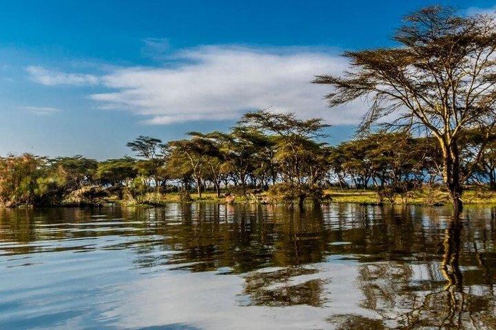 2 giorni Lago Nakuru e Lago Naivasha Safari Plan