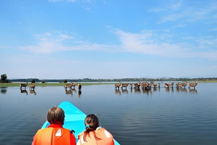 4 Days Masai Mara and Lake Naivasha Hell's Gate Adventure