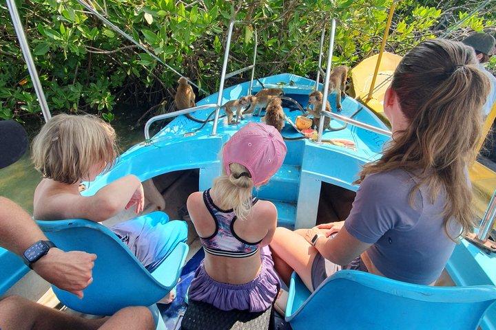 Halvdagstur i Negombo og lokal frokost eller (Lagoon Boat Safari)