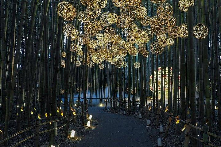 Kyoto Chopstick-Making and Highlights Private Tour