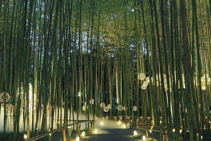 Kyoto Chopstick-Making and Highlights Private Tour