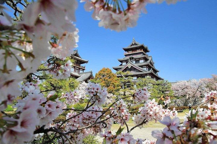 Kyoto Chopstick-Making and Highlights Private Tour