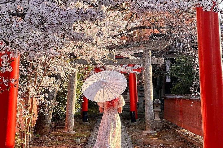 Kyoto Chopstick-Making and Highlights Private Tour