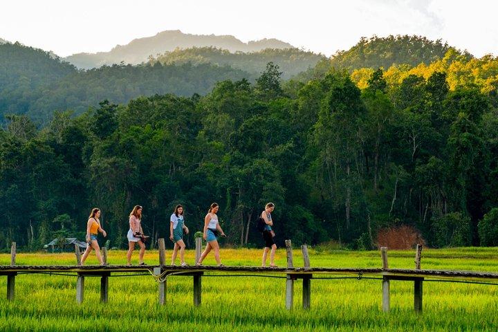 Pai Canyon and Bamboo Bridge Private Day Trip from Chiang Mai