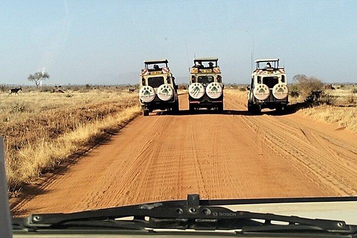 ディアニ/モンバサ発2日間ツァヴォ東部ジープ4x4サファリ（オプション付き）