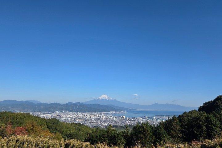 清水港から様々な角度から富士山を眺めるショートツアー