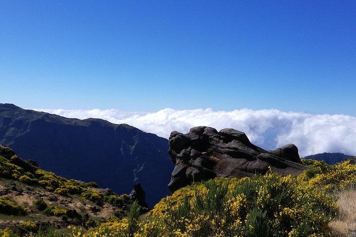 Madeira Mountain Experience Pico Grande Hike