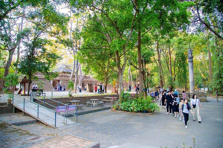 チェンマイ：ワット・ウモン寺院とドイ・ステープ寺院ガイド付きナイトツアー