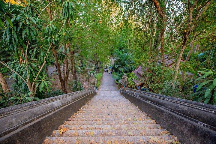 チェンマイ：ワット・ウモン寺院とドイ・ステープ寺院ガイド付きナイトツアー
