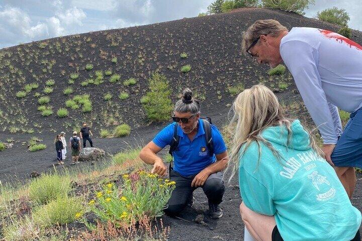 Etna e Alcantara da Catania Vulcani e Gole Avventura