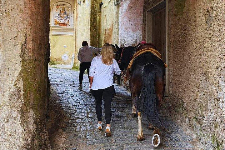 サレルノ: カヴァ・デ・ティレーニでの乗馬小旅行